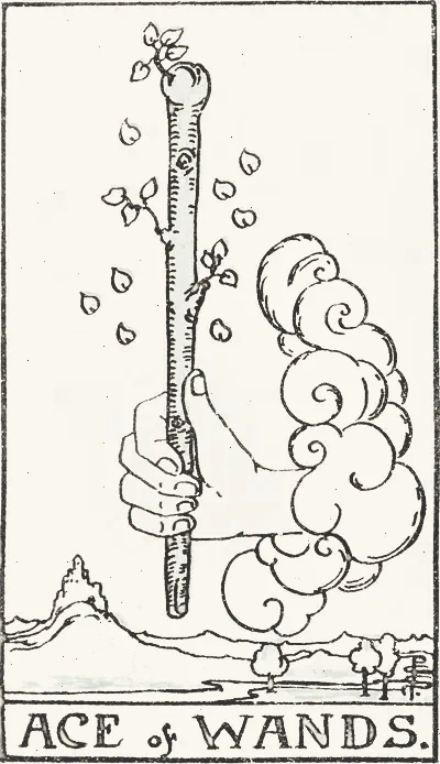 Ace of Wands tarot card