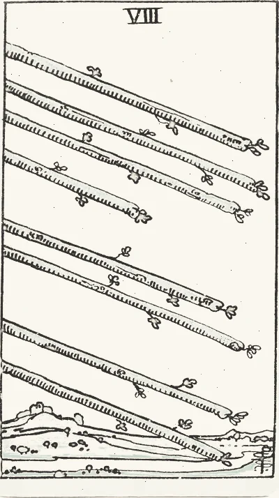 Eight of Wands tarot card